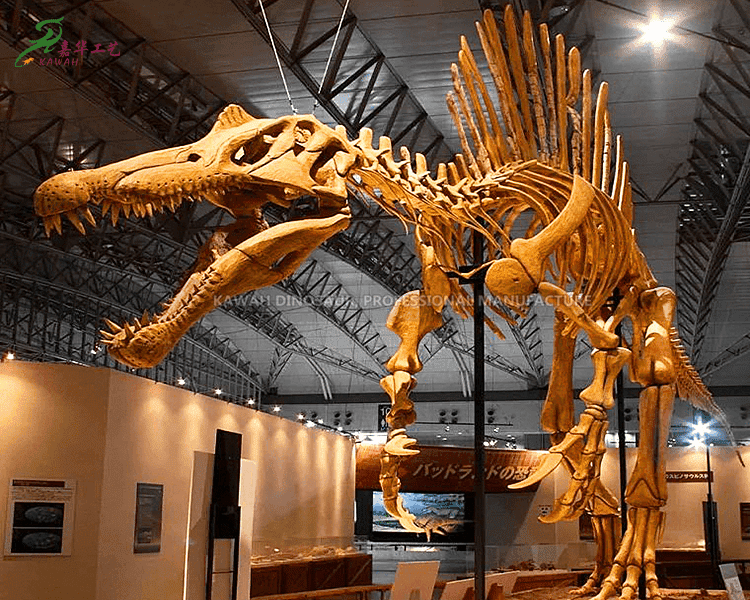 Jurassic World Spinosaurus ฟอสซิลจำลองไดโนเสาร์ที่เหมือนจริงสำหรับจอแสดงผลในร่ม SR-1807