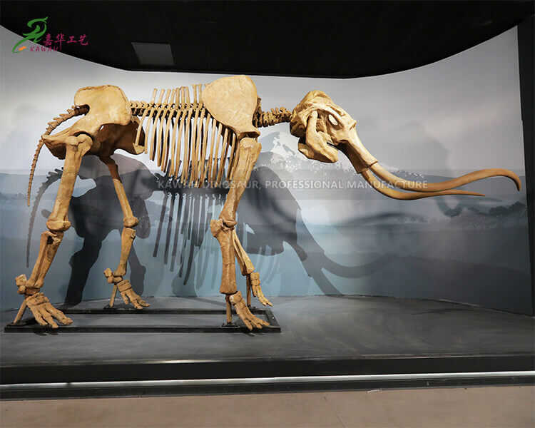Réplicas de esqueletos de animais artificiais de fósseis de mamute com qualidade de museu para exibição em museu SR-1801