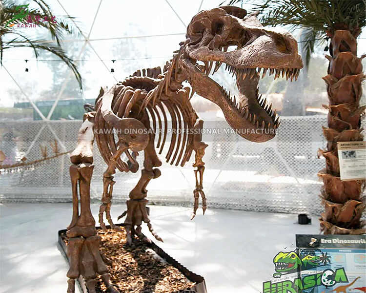 Buitelug Jurassic-temapark Roemenië kunsmatige veselglasdinosourus T-Rex-skedelreplika vir openbare SR-1814