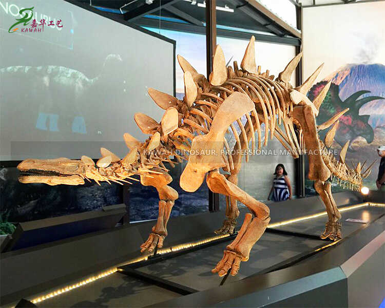 Zigong dinozò founisè atifisyèl Stegosaurus fosil dinozò kilè eskèlèt replike pou egzibisyon deyò SR-1811