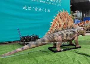 Köp realistiska dinosaurier Dimetrodon Animatronic dinosaurier i naturlig storlek AD-138