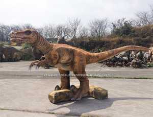 Palco de Entretenimento Dinossauro Animatrônico Velociraptor AD-617