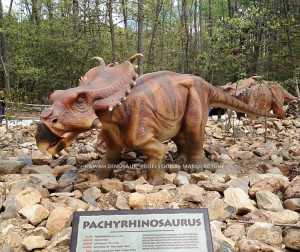 Forest Dino Park Realistic Dino Animatronic Dinosaur Pachyrhinosaurus