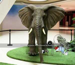 Estatua de elefante de tamaño natural Animal animatrónico personalizado AA-1218