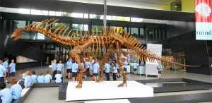 Dinosaur Afọwọṣe Giant Amargasaurus Fossil Dinosaur Skull Replicas fun Ẹkọ Ile-iwe SR-1816