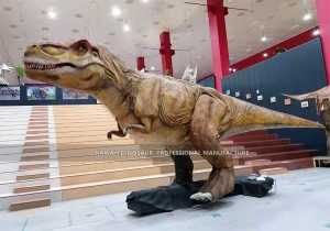 Динозаври азимҷуссаи сайёҳӣ T-Rex фармоишии аниматроникии динозавр барои намоиши саҳнавӣ AD-607