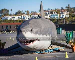 Life Size Pirkite animatronic White Shark for Park AM-1614