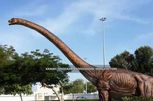 Life Size Dinosaur Sauroposeidon Dinosaurio Animatronic