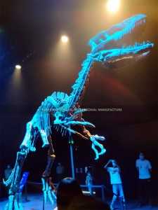Dinosaur Makers Fiberglass Igbesi aye Iwon Baryonyx Ajọra Dinosaur Skeleton Fossil fun Ile ọnọ inu SR-1805