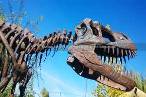 Ile-iṣẹ Oríkĕ ti adani ita gbangba Dinosaur Replicas T-Rex Skull ajọra 8 Mita Gigun fun Tita SR-1817