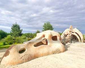 Awọn ọja Dinosaur Park Ifihan Aṣa ẹda Dinosaur Skull fun Awọn ifihan ita gbangba SR-1809