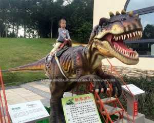 Zigong Dinosaur Allosaurus Realistic Dinossauro Animatronic Dinosaur Ride para venda ADR-713