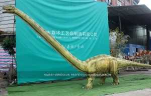 פיברגלס מותאם אישית דינוזאור עם צוואר ארוך Mamenchisaurus Zigong דינוזאור מפעל FP-2423