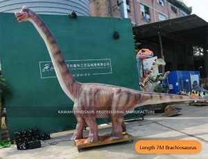 Gukora Dinosaur Brachiosaurus Animatronic Dinosaur Yakozwe AD-057