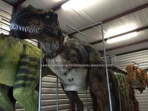 Madadaalada Xaqiiqda ah ee T-Rex Dinosaur Costume ee Bandhiga Dadweynaha DC-941