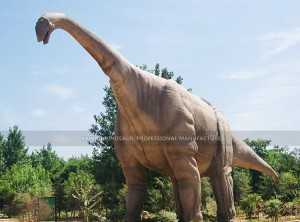 Giant Dinosaur Model Long Neck Dinosaur Ruyangosaurus Realistic Dinosaur