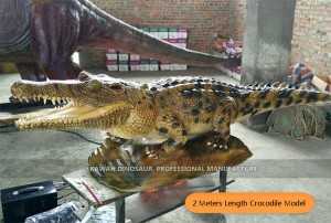 Реалистичная модель крокодила с движениями и звуком аниматронного животного по индивидуальному заказу AA-1241