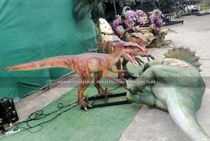 Groupe de dinosaures Triceratops blessé par dinosaure animatronique Velociraptor AD-111 personnalisé