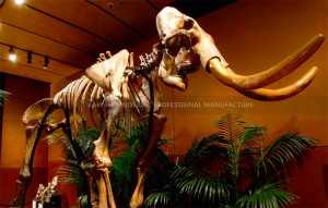 Fiberglass Animal Skeleton Replicas Simulation Mammoth Bone for Museum Display SR-1820