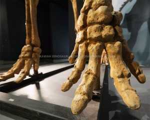 Didara Ile ọnọ Ile ọnọ Oríkĕ mammoth Fossils Awọn ẹda Egungun Ẹranko fun Ifihan Ile ọnọ SR-1801