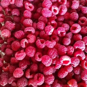 IQF Frozen Raspberry Red Fua