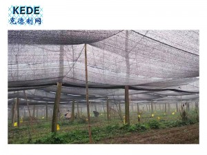 High-quality shade net manufacturer prevents glare and high temperature