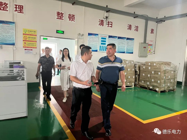 Institut Teknologi Hubei mengunjungi Keer Power untuk kerja sama sekolah-perusahaan