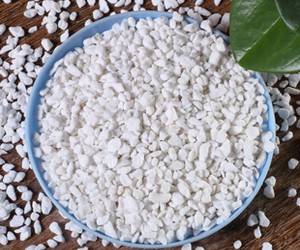 Expanded Perlite in Horticulture