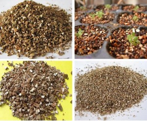 expanded vermiculite for mushroom growing