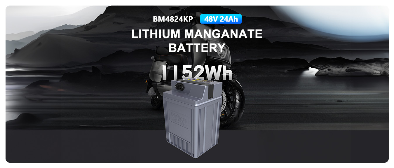 48V24ah-литум-батарея