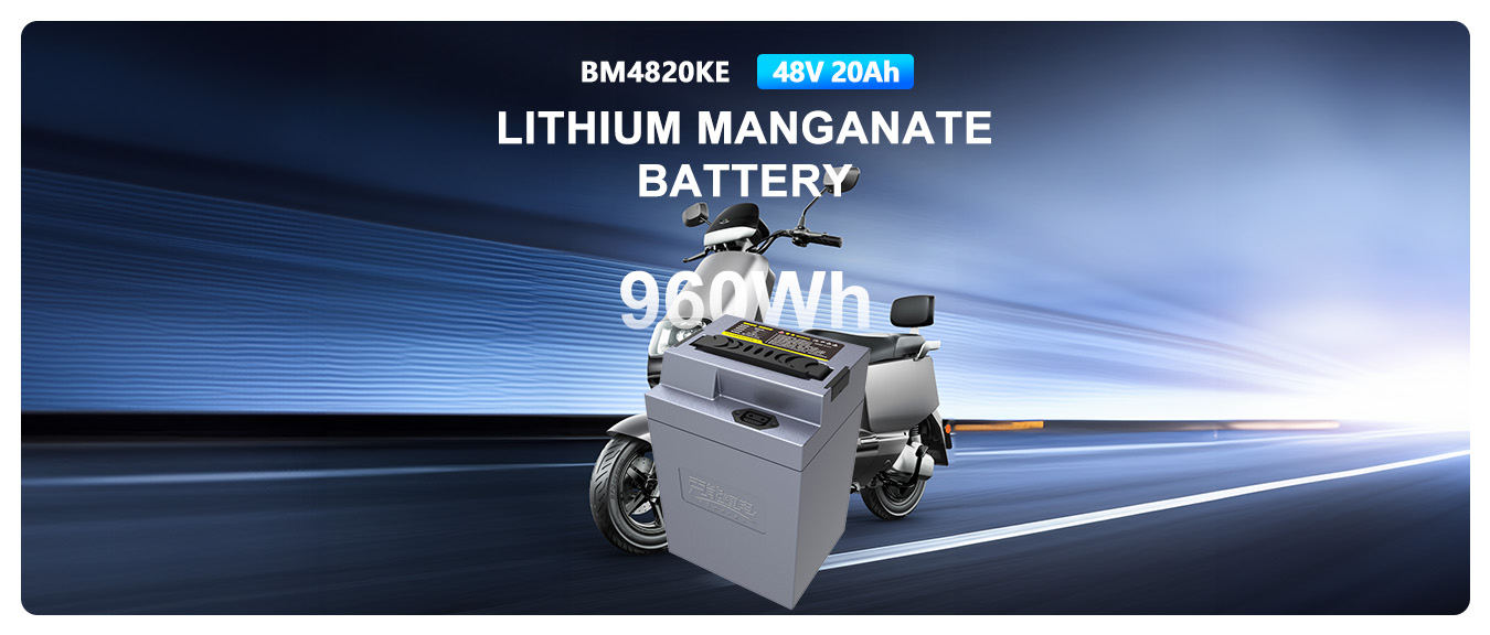 lifepo4-lithium-battery