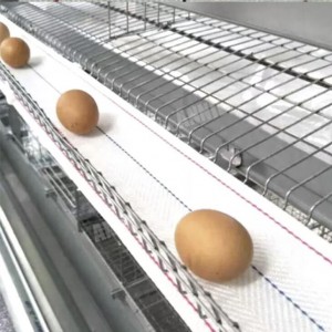 PP Woven Egg Conveyor Belt