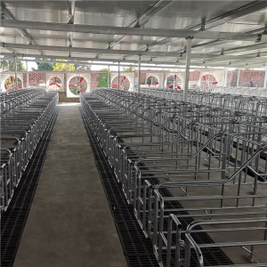 China Factory Pig Gestation Stall