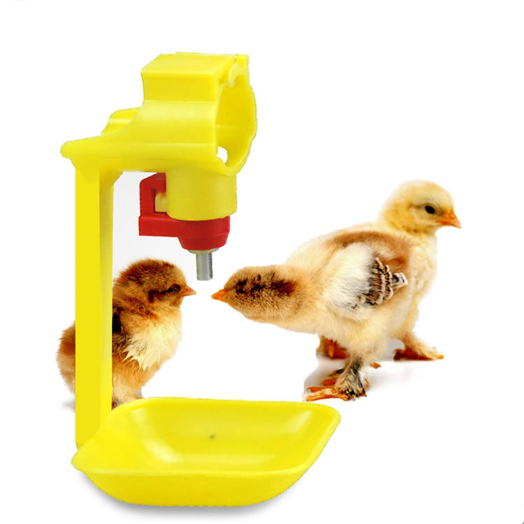 poultry water cup (1)