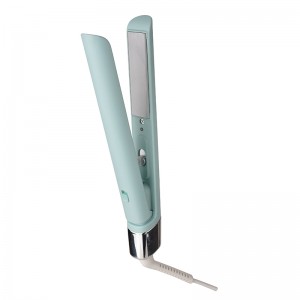 2021 newly launched fashionable portable hair straightener with plates lock and fast heat up suitable for all hair types TS-8110