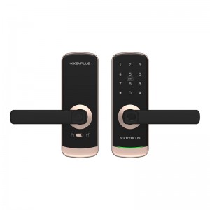 T1 – NEW ARRIVAL Over-value Full Functional App Controlled Fingerprint Electronic Smart Door Lock