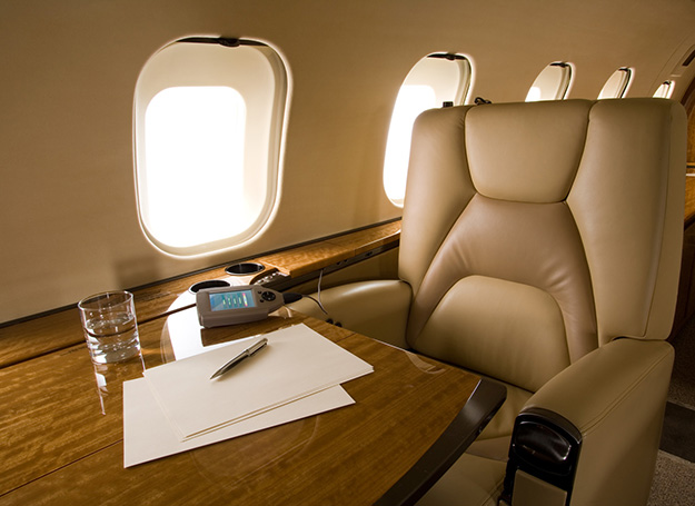 Aviation leather/aircraft leather