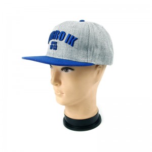 3D işlemeli logolu özel Snapback Beyzbol Şapkası