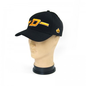 Прилагодите сопствени шешир Бејзбол шешир са 3Д везом
