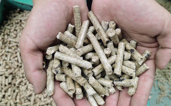 Biomass fuel pellet machine pellet demand has exploded in global economic regions