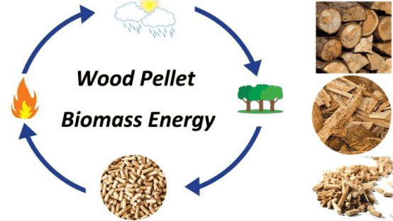 Globale nyheder om biomasseindustrien