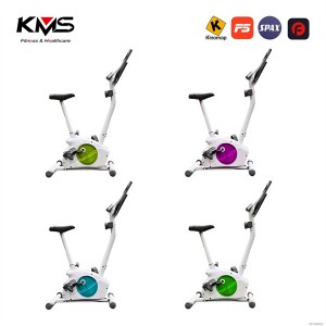 Compact Upright Magnetic Exercise bike