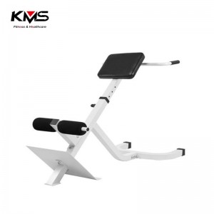 KQ-01102-Back Extension Chair