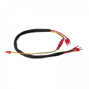 Factory selling Injector Wiring Harness - Small indoor appliances  home appliances harness cable assembly – Komikaya