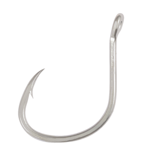 H17602 JIGGING HOOK WITH RING