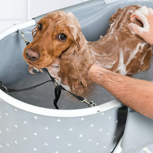 Grosir furnitur mandi anjing nyaman dan kokoh