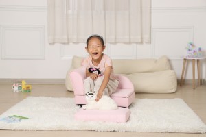 Fakitale yopanga China Fabulous High Quality Pet Sofa Galu kapena Cat Bedi (SF-31)
