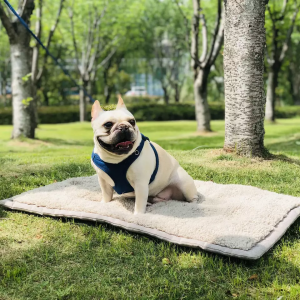 Custom Size Sherpa Fleece Polyester Luxury Designer Dog Cat Couch Bed Mat Para sa Mga Alagang Hayop