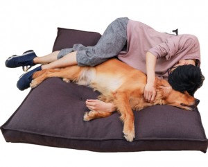 Šunų lovų tiekėjai Minkšta šunų pagalvėlė, plaunama atminties putų lova