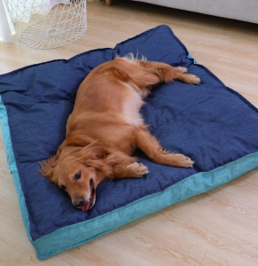 Šunų lovų tiekėjai Minkšta šunų pagalvėlė, plaunama atminties putų lova
